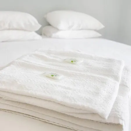 Hungarian Biscuits Historic Center Apartment Porto